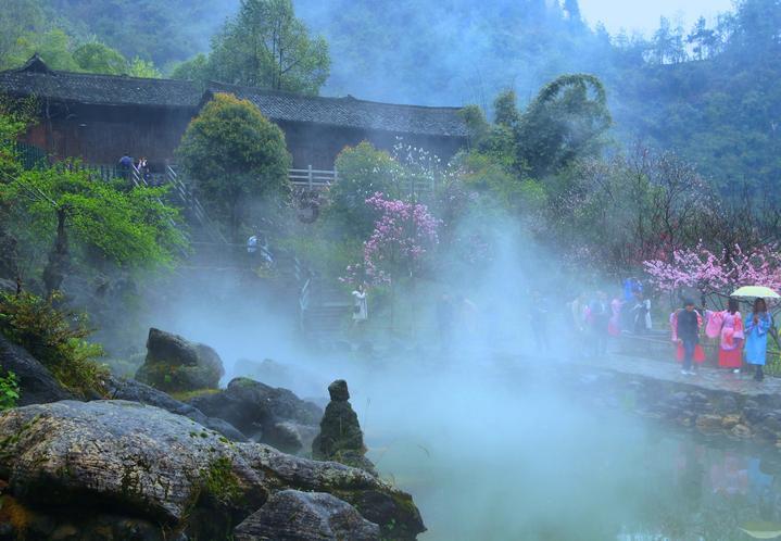 春雨直播app