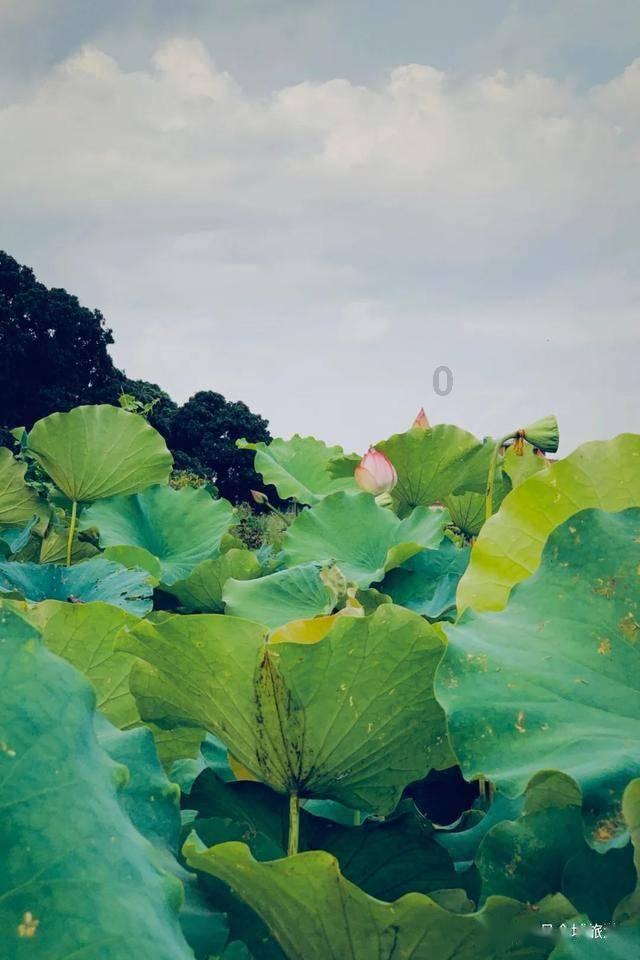 劲舞团