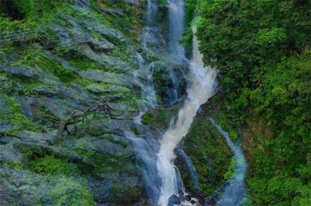 平均气温偏高0.5至1℃！春运期间遵义天气预测来了