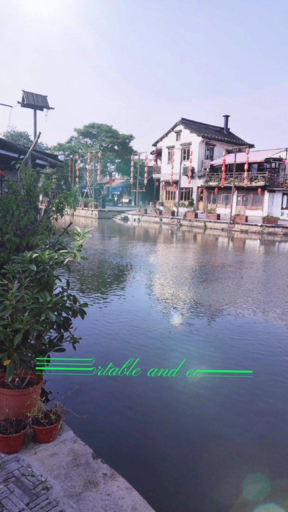 小猫钓鱼游戏龙王版有船