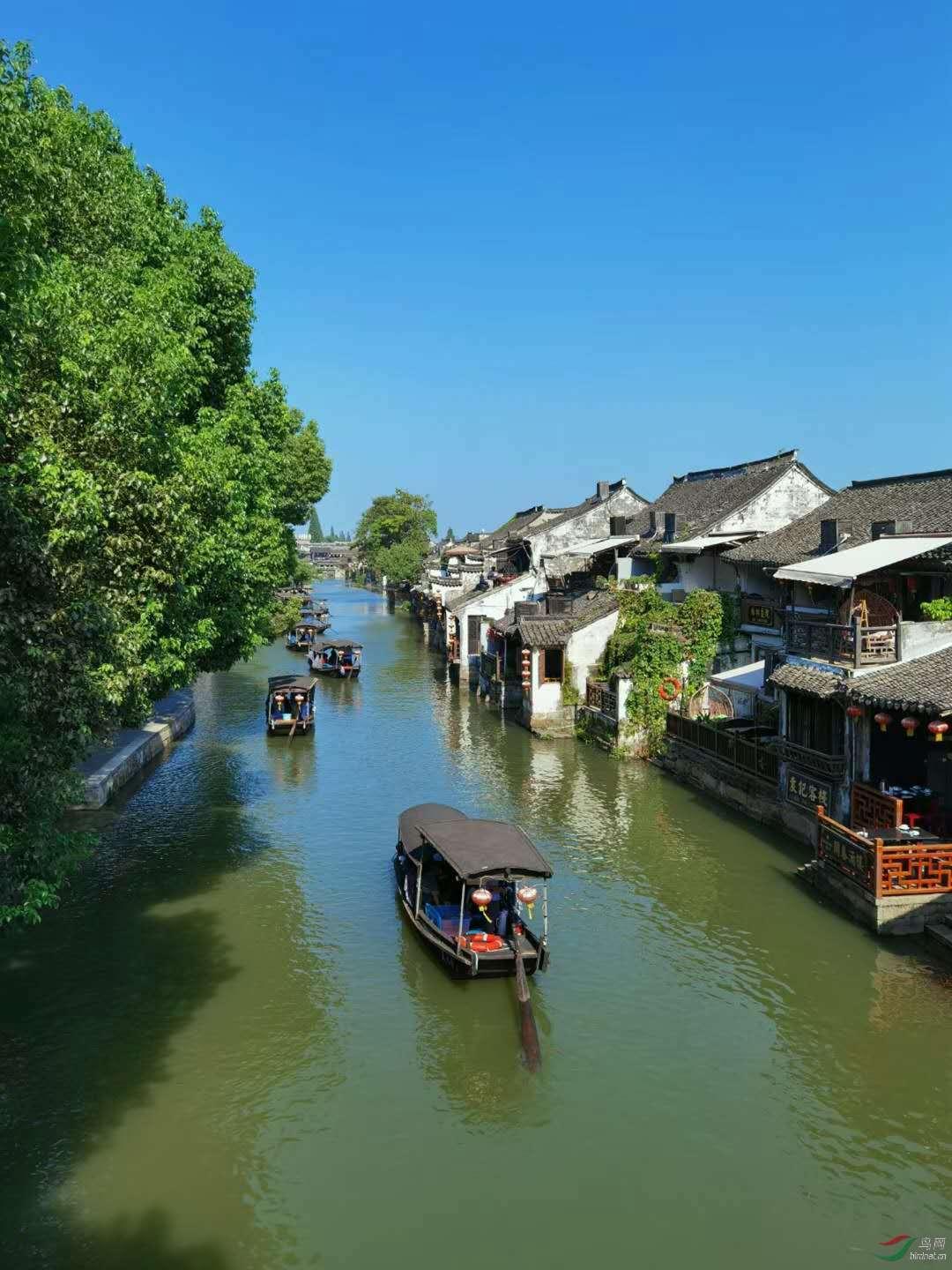 徐迎光——北京大学文物考古评估鉴定师